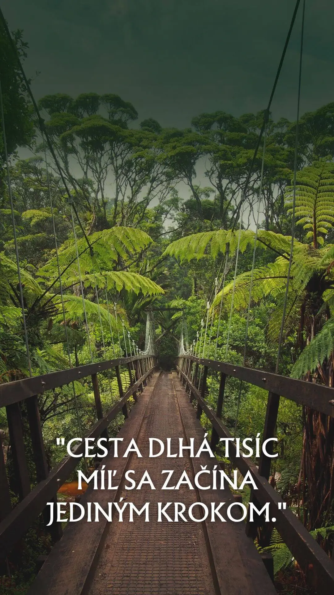 Citát o cestovaní - prvý krok