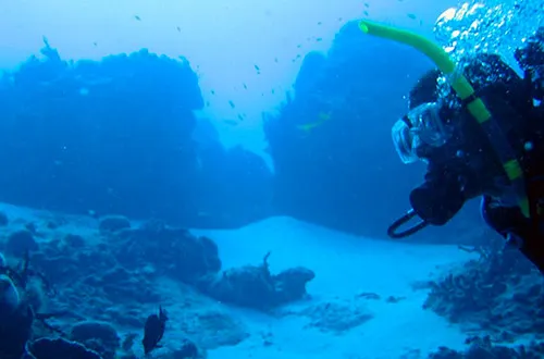 Potápanie - Ras Mohamed